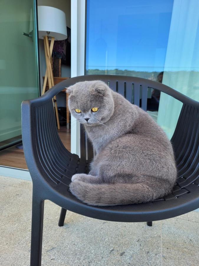 Hotel Cotto Do Gatto Ponte da Barca Ngoại thất bức ảnh